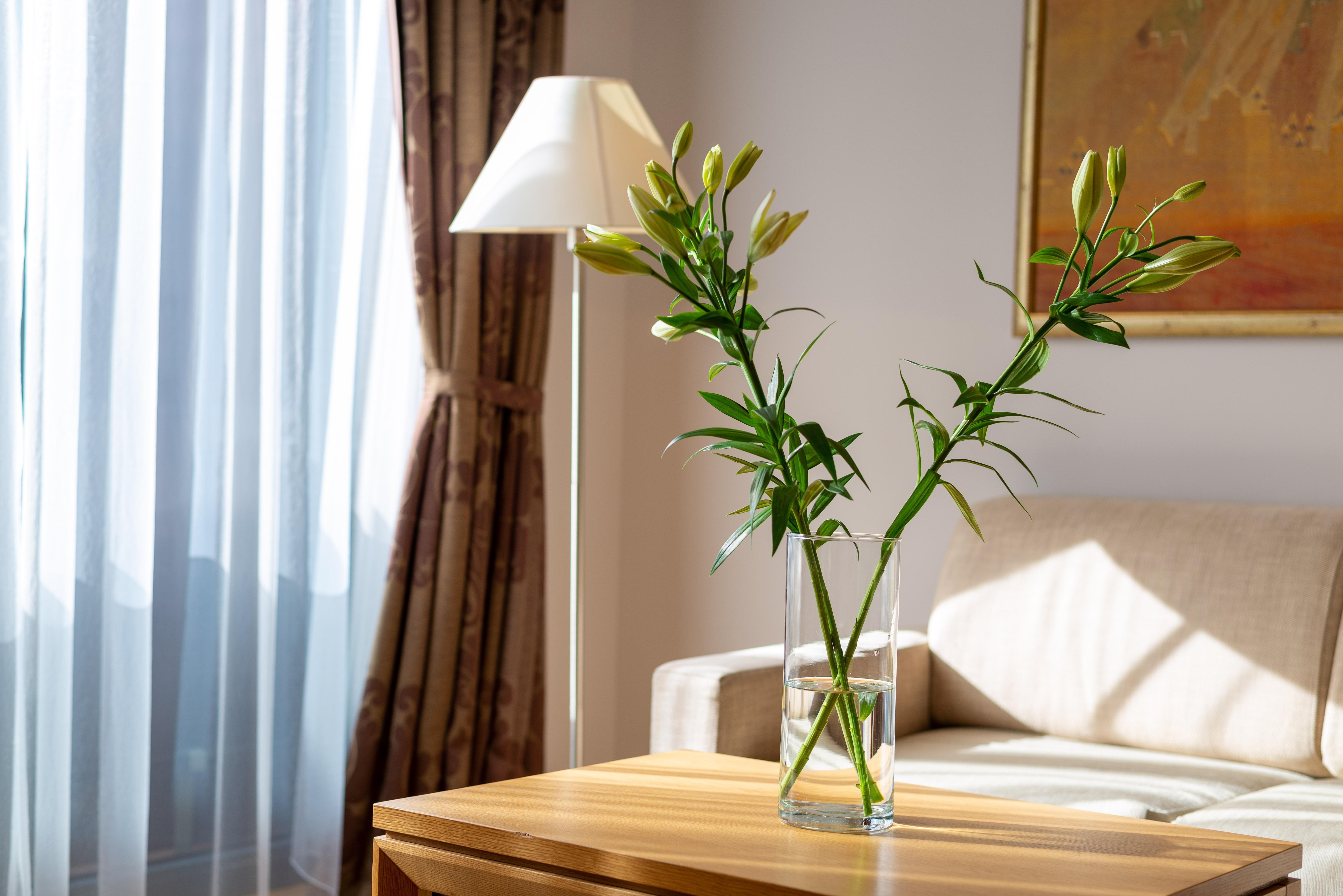 Euterpe Hotel 克莱佩达 外观 照片